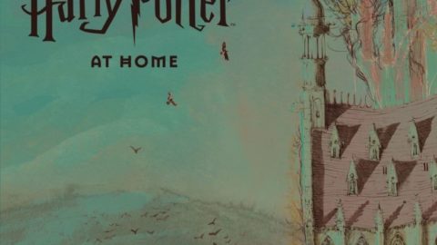 „Harry Potter at home”aduce magia la tine acasă