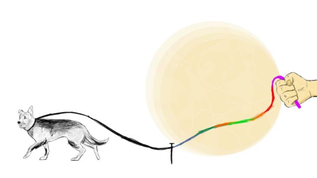 Sibiul prin ochii lor