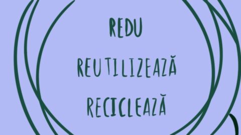 Tânăr și eco-friendly