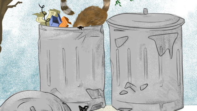 Cu o pungă textilă nu salvezi mediul, dar e un început