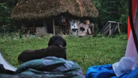 Cheia vieții la munte