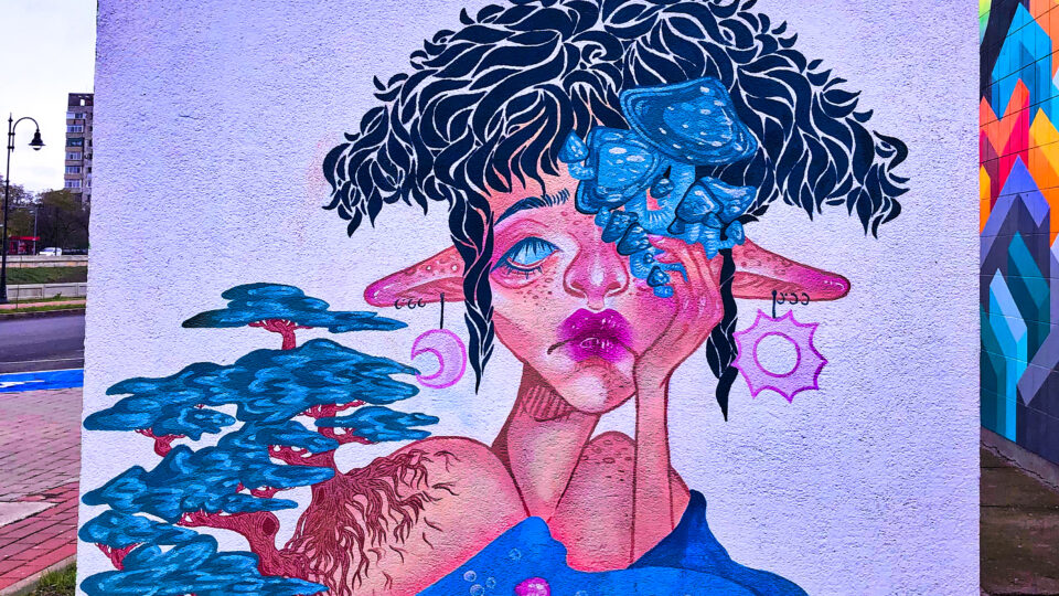 Pereții gri, pe cale de dispariție