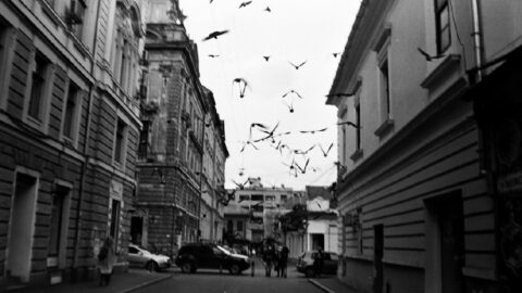 Concursul național „Proscenium” revine cu a VII-a ediție