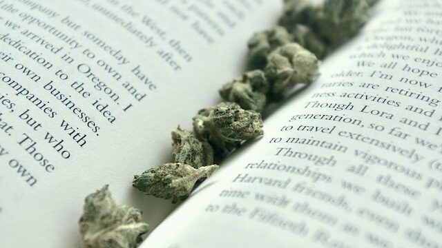 MARIJUANA: All you need to know