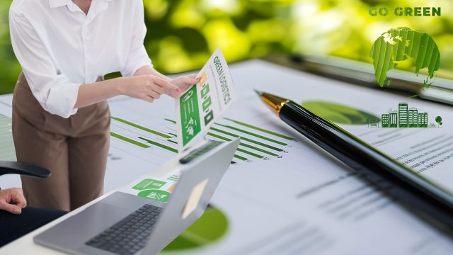 Te interesează să începi o afacere verde? Iată câteva informații care te-ar putea ajuta